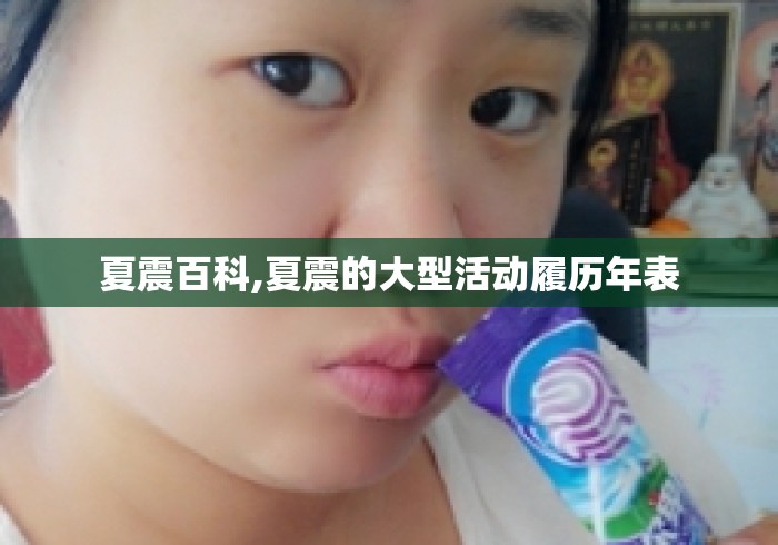 夏震百科,夏震的大型活动履历年表