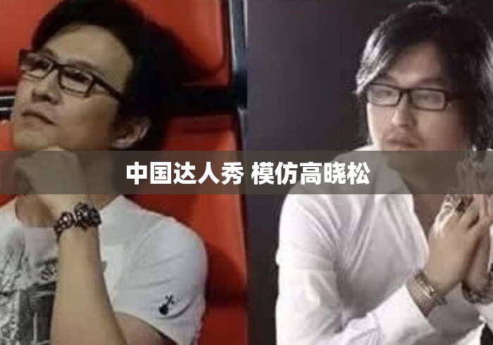 中国达人秀 模仿高晓松