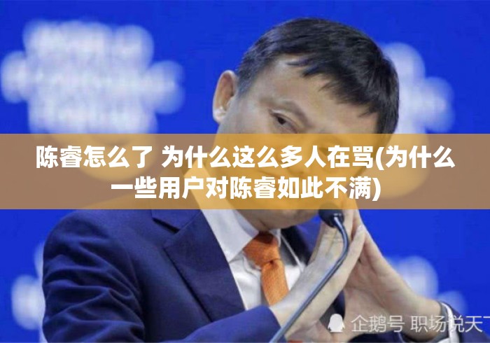 陈睿怎么了 为什么这么多人在骂(为什么一些用户对陈睿如此不满)