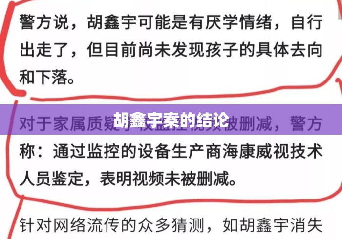 胡鑫宇案的结论 胡鑫宇案的结论