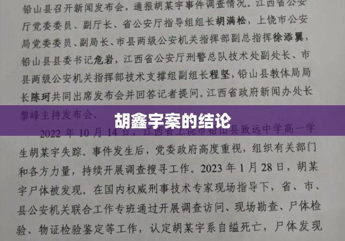 胡鑫宇案的结论 胡鑫宇案的结论