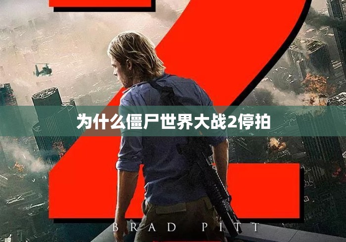 为什么僵尸世界大战2停拍